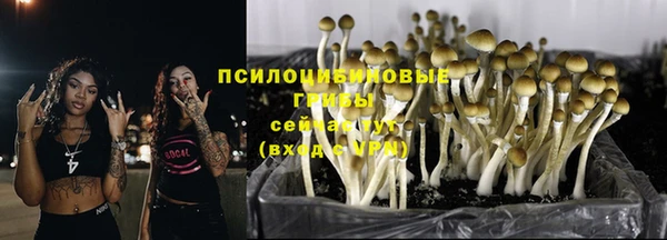 индика Белоозёрский