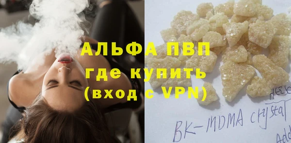 индика Белоозёрский