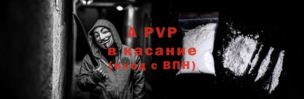 индика Белоозёрский