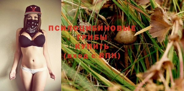индика Белоозёрский