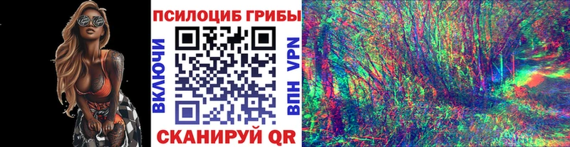 магазин  наркотиков  Кушва  Псилоцибиновые грибы мухоморы 