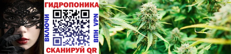 Бошки Шишки индика  Кушва 